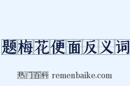 题梅花便面反义词是什么意思的图片